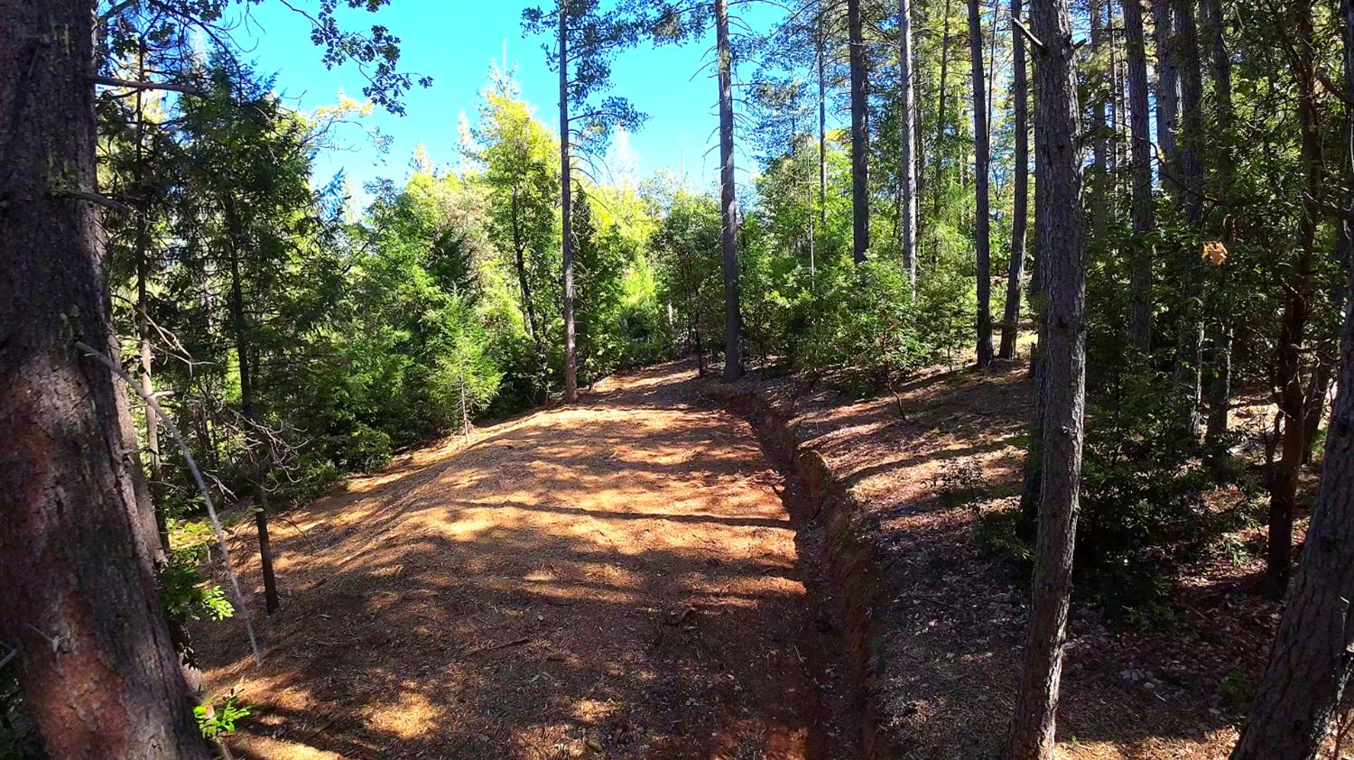 6324 Dickinson Road Placerville, CA 95667 - Photo 25 of 34 a backyard of a house with lots of green space