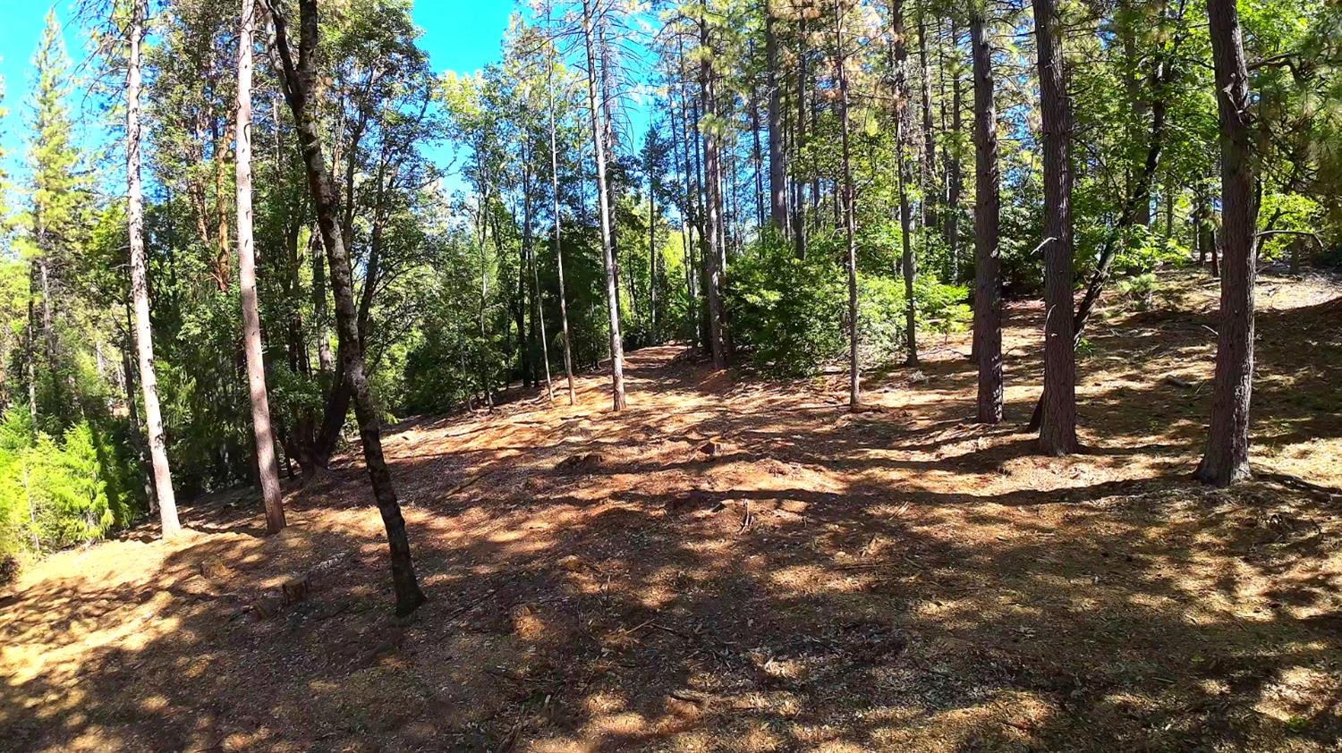 6324 Dickinson Road Placerville, CA 95667 - Photo 27 of 34 a backyard of a house with lots of green space