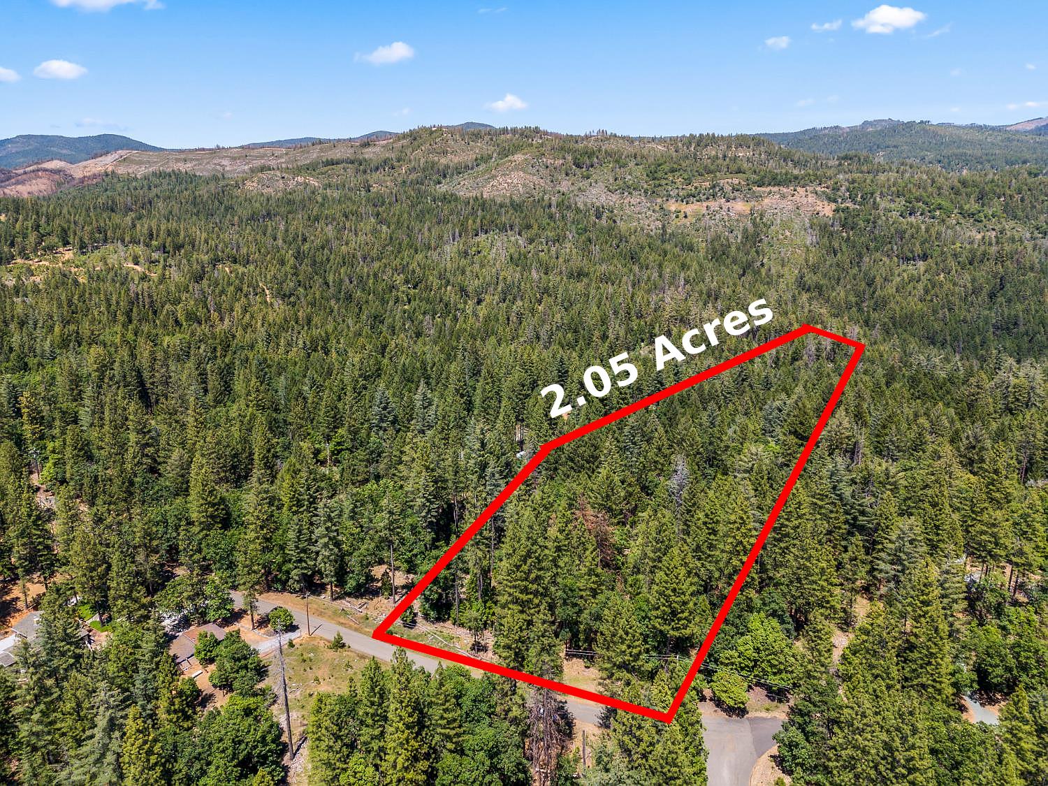 6324 Dickinson Road Placerville, CA 95667 - Photo 29 of 34 a view of a lush green field with a palm and trees