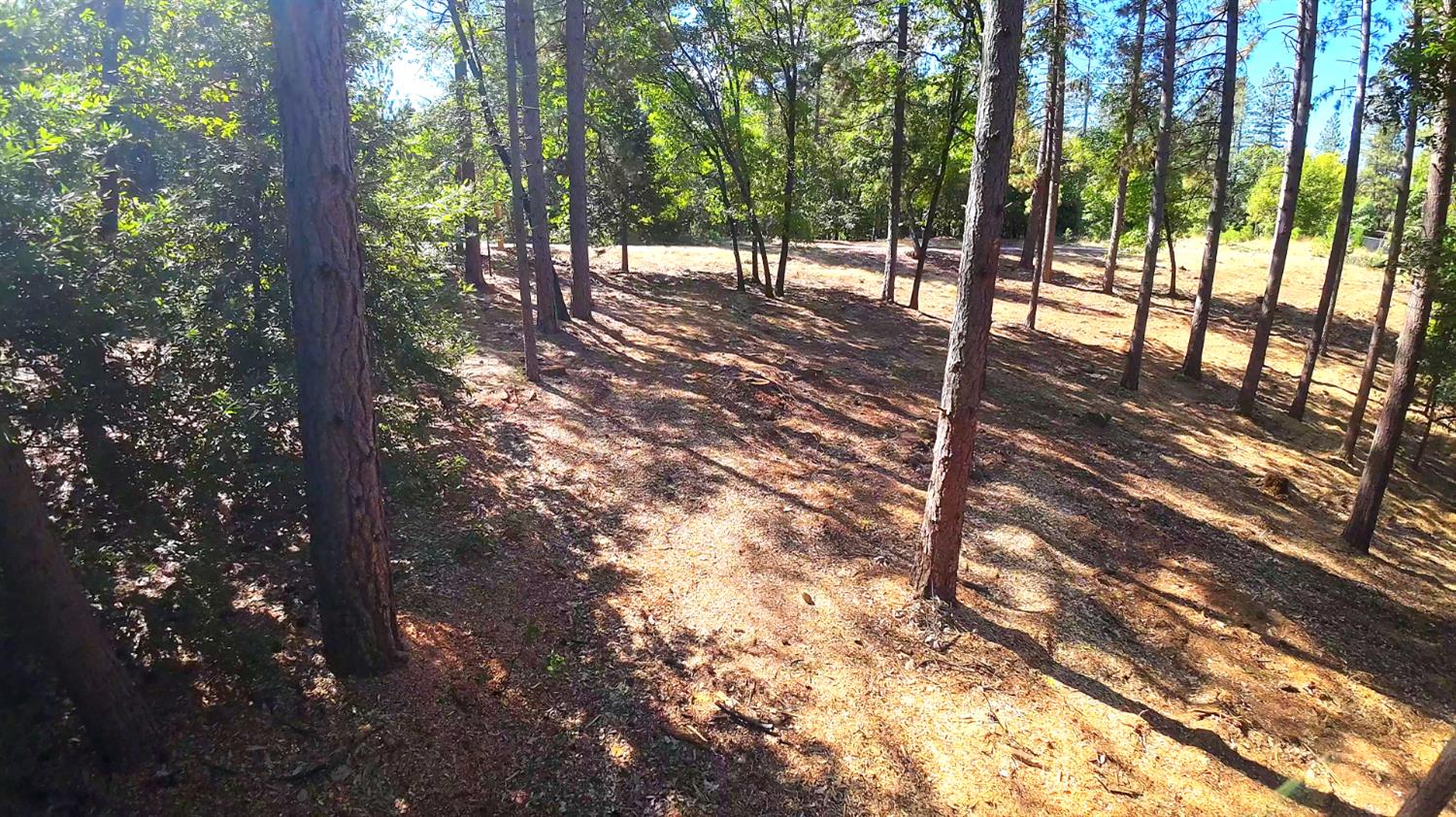 6324 Dickinson Road Placerville, CA 95667 - Photo 32 of 34 a view of outdoor space and trees