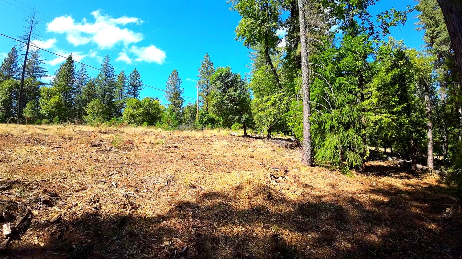 6324 Dickinson Road Placerville, CA 95667 - Photo 34 of 34 a view of road and trees