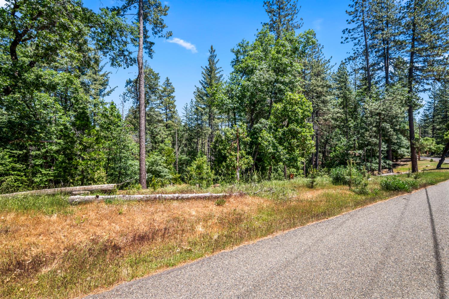 6324 Dickinson Road Placerville, CA 95667 - Photo 5 of 34 a view of a yard with large trees