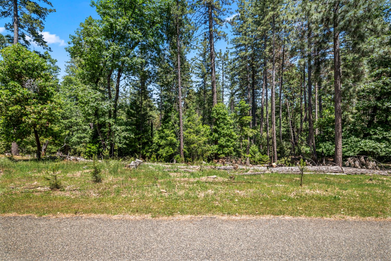6324 Dickinson Road Placerville, CA 95667 - Photo 6 of 34 a view of outdoor space with trees all around