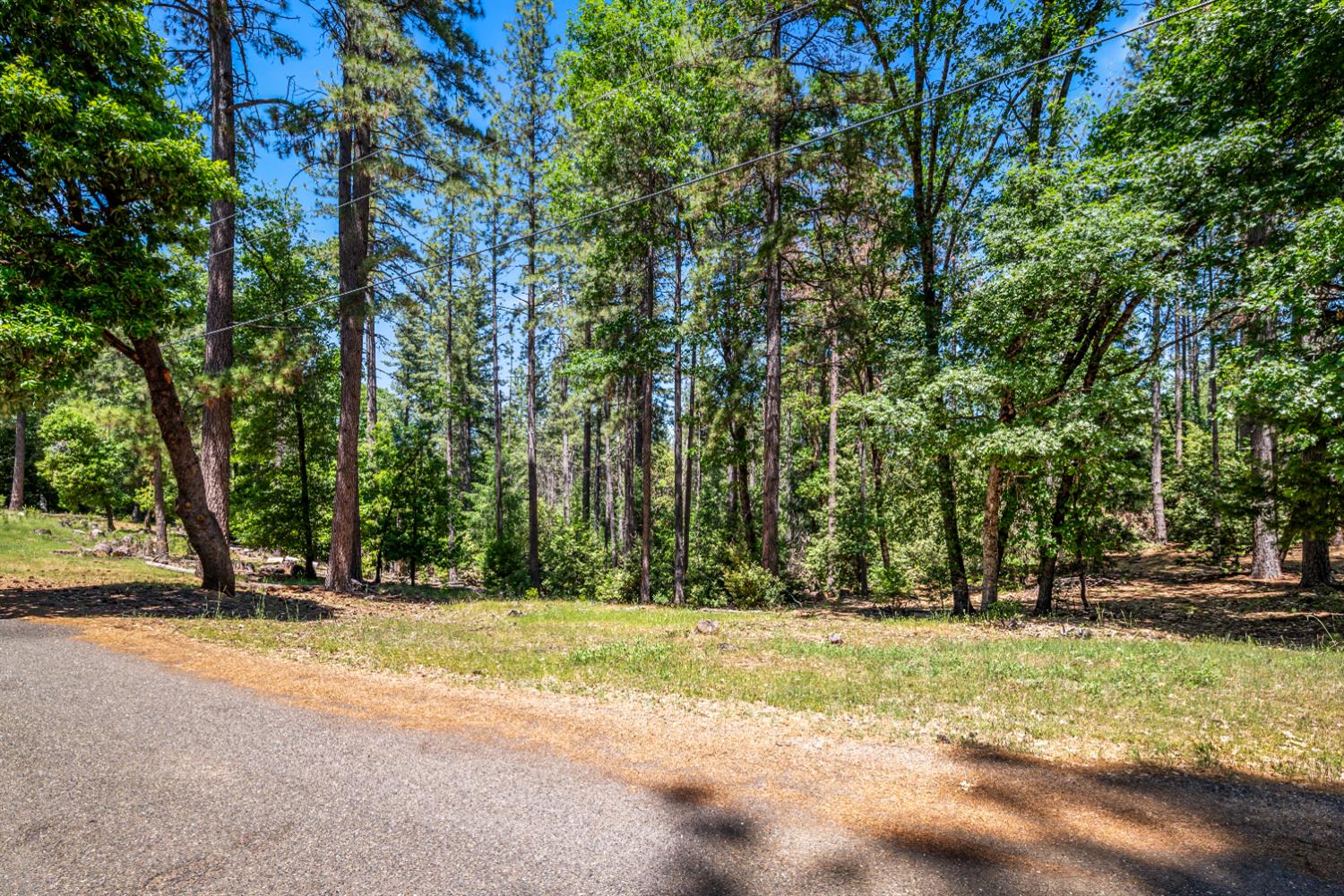 6324 Dickinson Road Placerville, CA 95667 - Photo 7 of 34 a view of green space