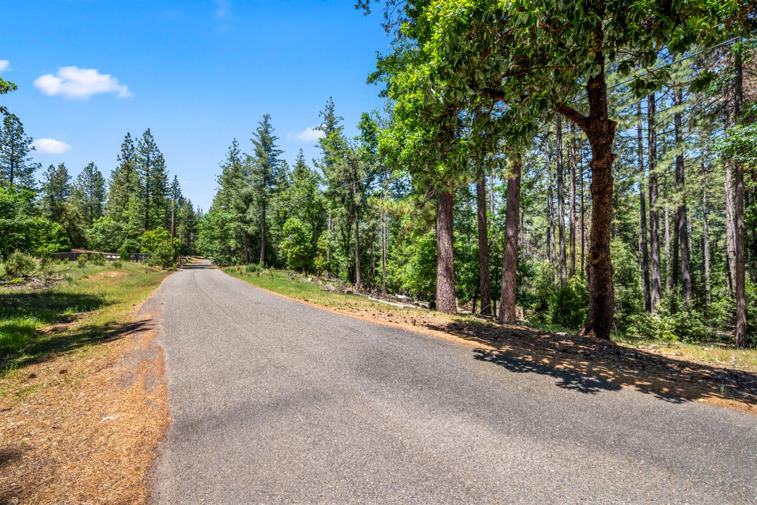 6324 Dickinson Road Placerville, CA 95667 - Photo 8 of 34 a view of a street with a trees