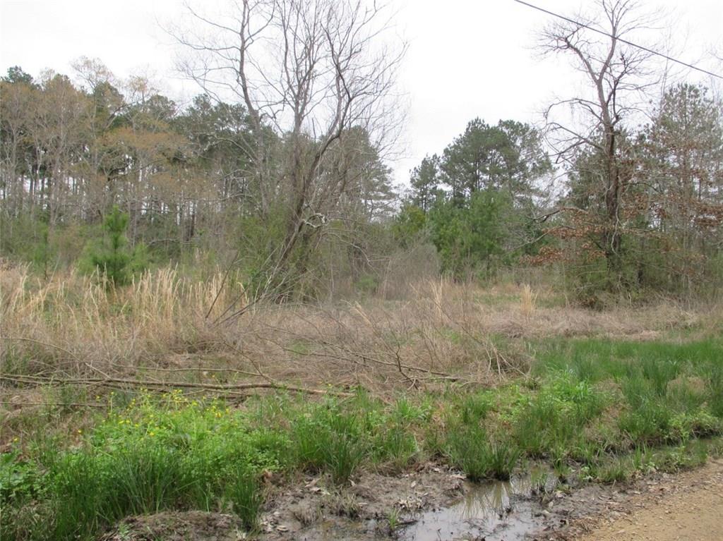 0 Gunter Road Pineville, LA 71360 - Photo 2 of 8 Gallery Image 2