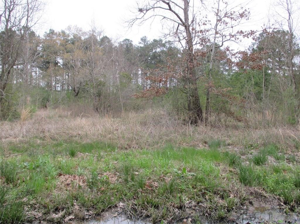 0 Gunter Road Pineville, LA 71360 - Photo 4 of 8 Gallery Image 4