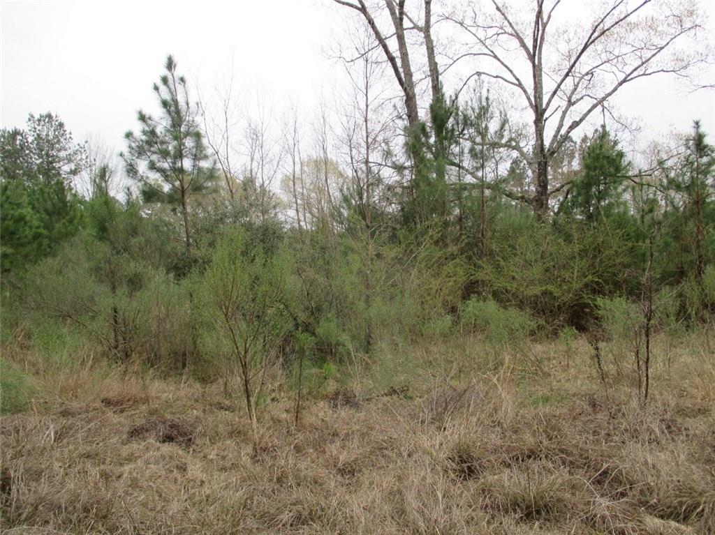 0 Gunter Road Pineville, LA 71360 - Photo 5 of 8 Gallery Image 5