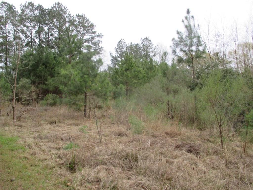 0 Gunter Road Pineville, LA 71360 - Photo 6 of 8 Gallery Image 6
