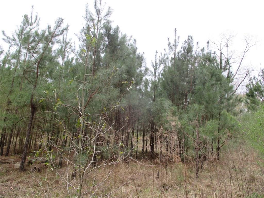 0 Gunter Road Pineville, LA 71360 - Photo 7 of 8 Gallery Image 7