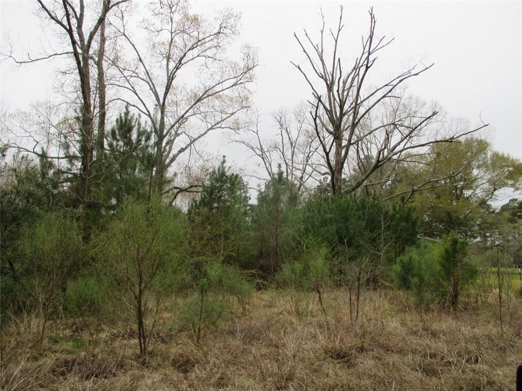 0 Gunter Road Pineville, LA 71360 - Photo 8 of 8 Gallery Image 8