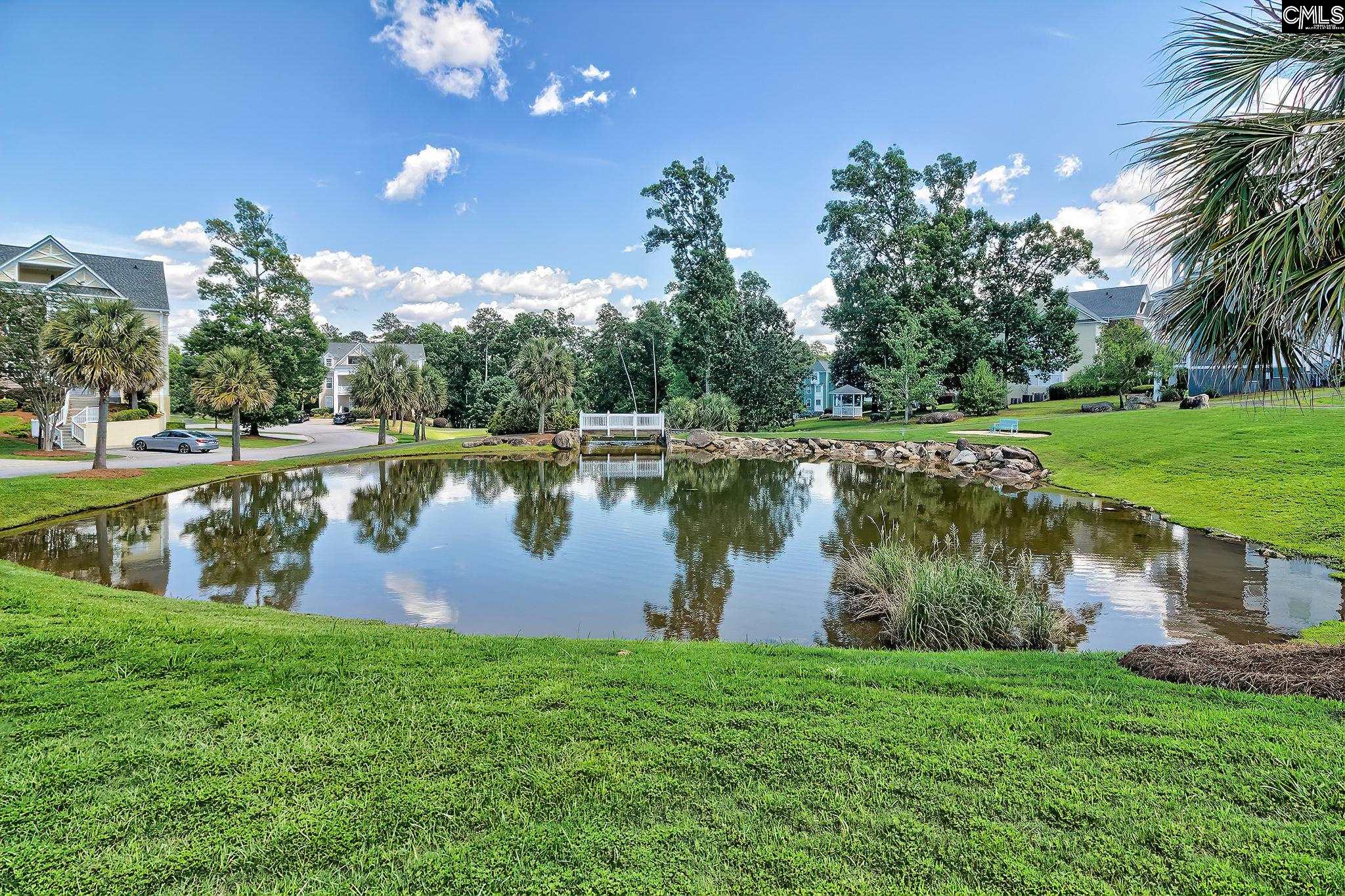 118 Sandlapper Way, Unit 2B Lexington, SC 29072 - Photo 16 of 57