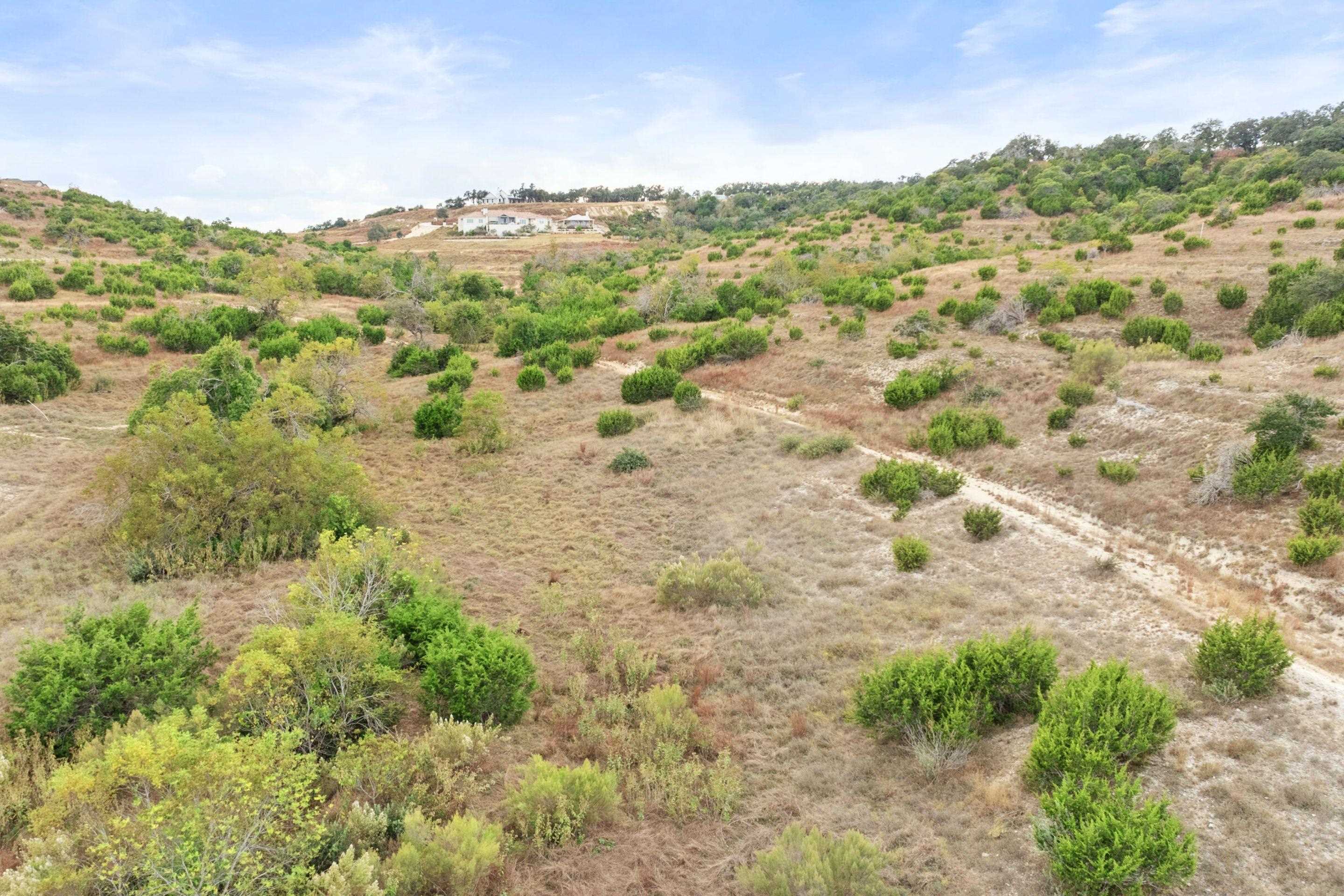 Lot 112 Star Point Circle Blanco, TX 78606 - Photo 10 of 25 a view of a forest with trees in the background
