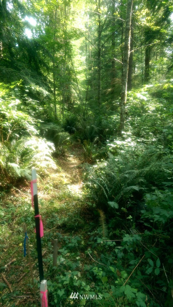 29519 Reiner Road Monroe, WA 98272 - Photo 14 of 25