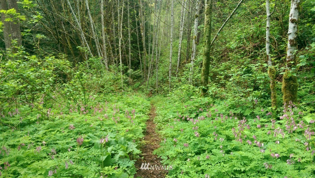 29519 Reiner Road Monroe, WA 98272 - Photo 20 of 25