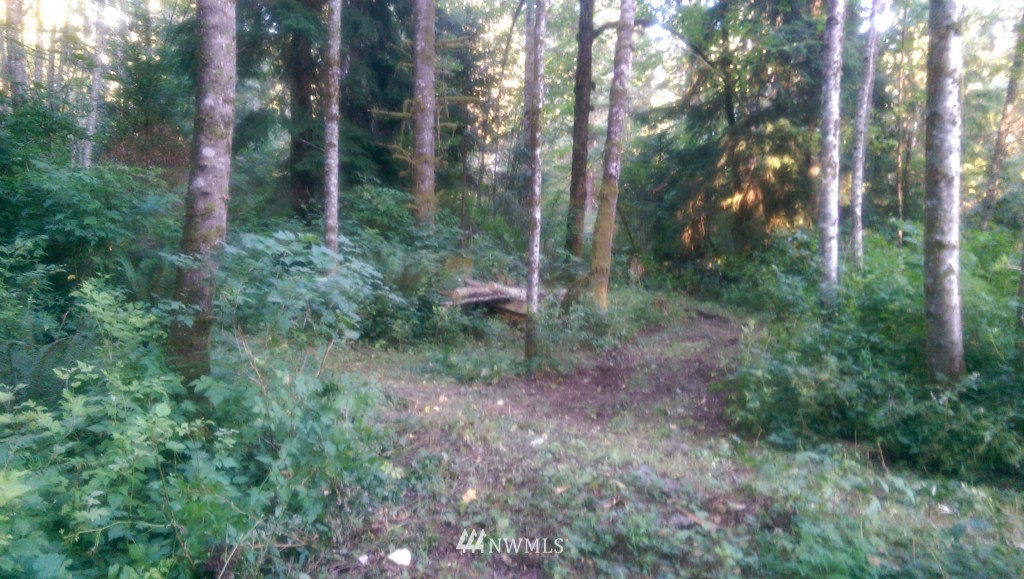 29519 Reiner Road Monroe, WA 98272 - Photo 4 of 25