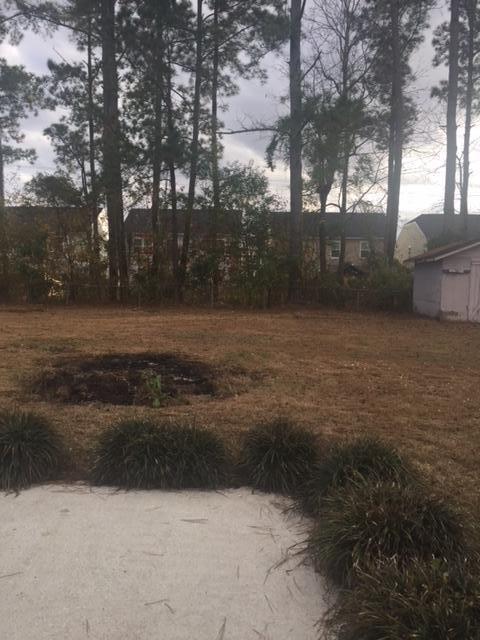 117 Mountain Pine Road Moncks Corner, SC 29461 - Photo 29 of 35 IMG_4661