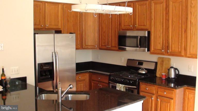 44033 Rising Sun Terrace Ashburn, VA 20147 - Photo 3 of 10 Upgrades!