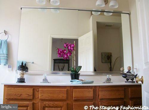 44033 Rising Sun Terrace Ashburn, VA 20147 - Photo 6 of 10 Bath (Master)