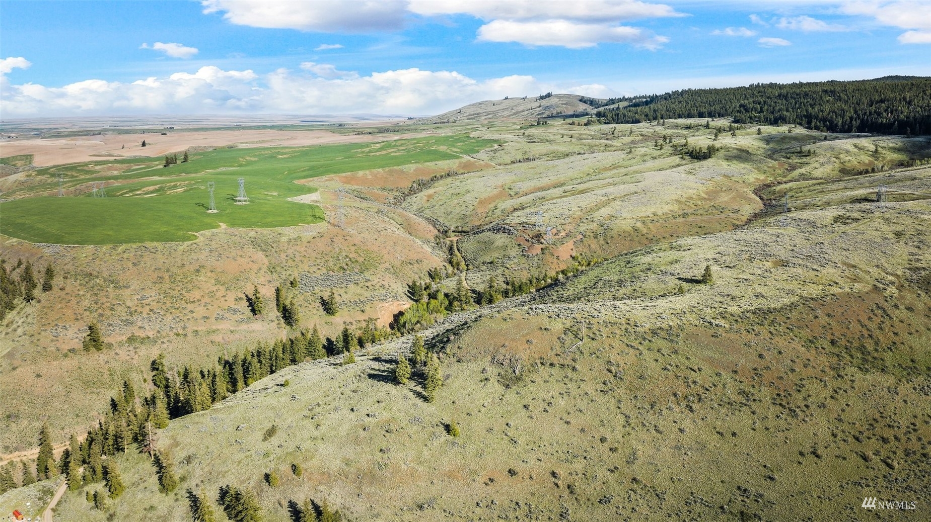 0 Goldfish Gulch Road Waterville, WA 98858 - Photo 11 of 29 Gallery Image 11