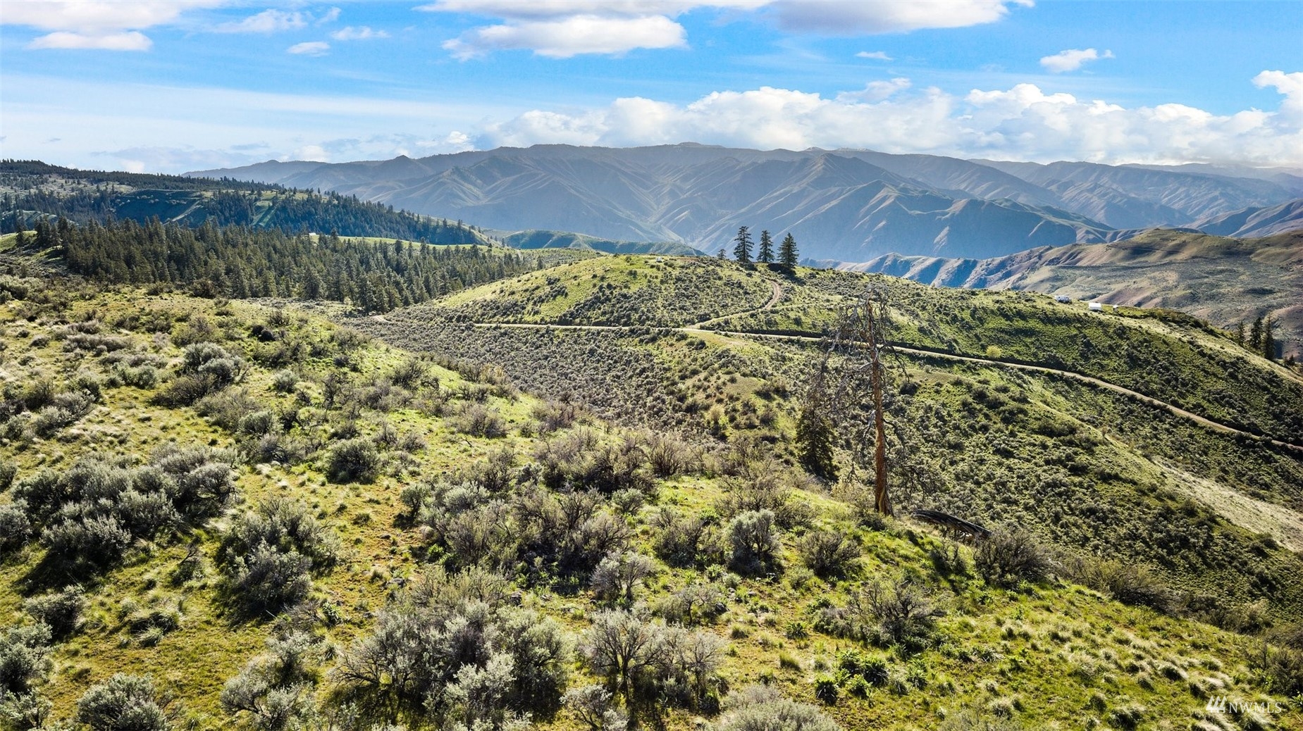 0 Goldfish Gulch Road Waterville, WA 98858 - Photo 29 of 29 Gallery Image 29