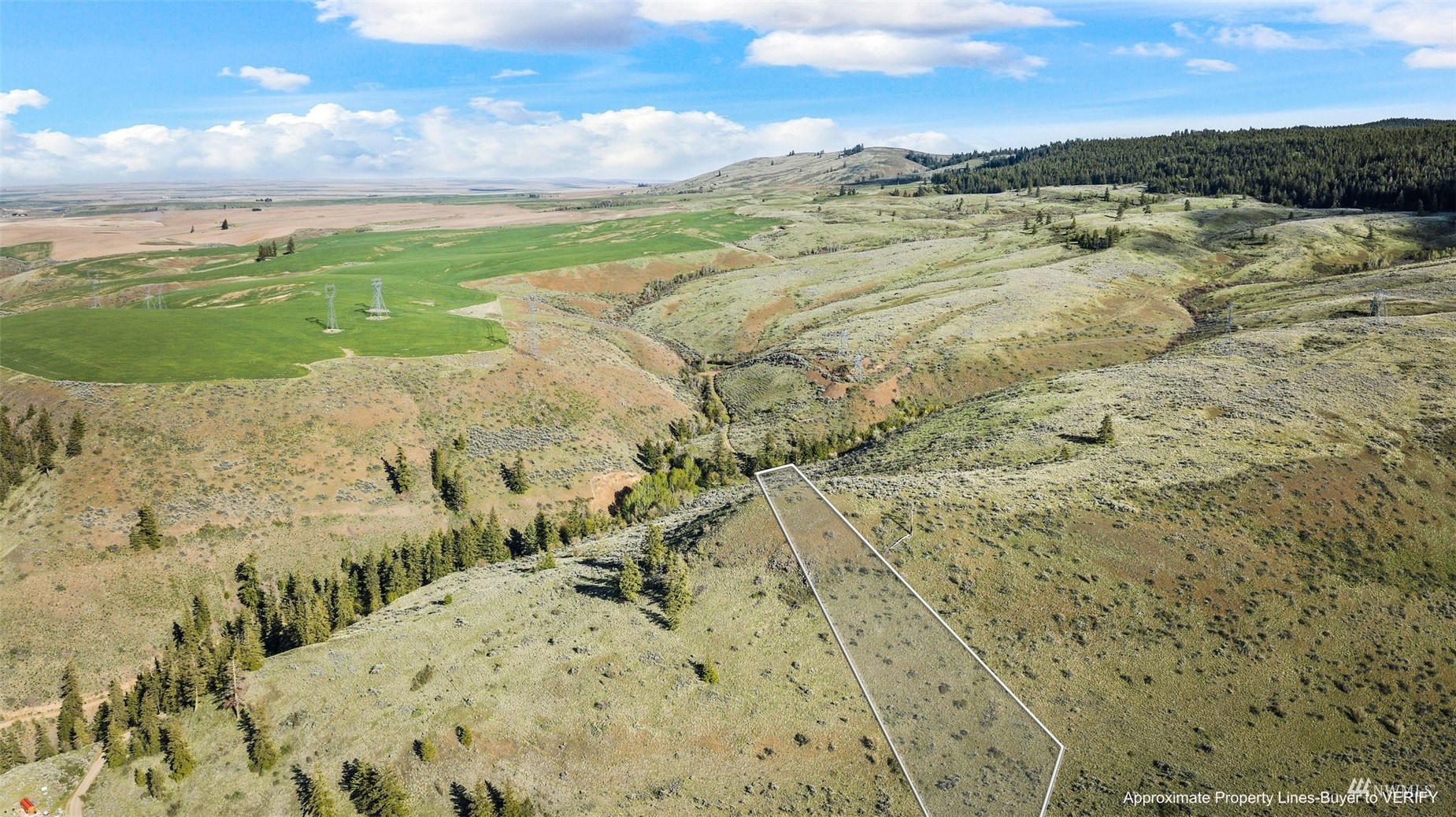 0 Goldfish Gulch Road Waterville, WA 98858 - Photo 10 of 29 Gallery Image 10