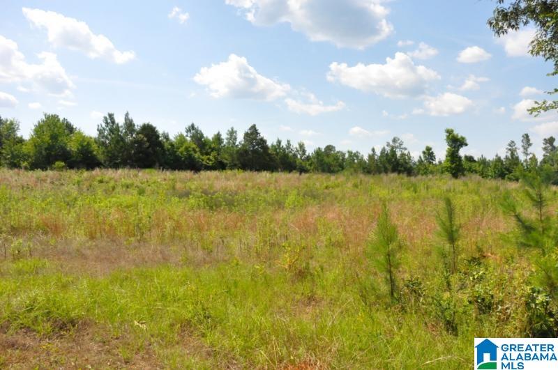 2294 River Bend Road, Unit 1 West Blocton, AL 35184 - Photo 11 of 12