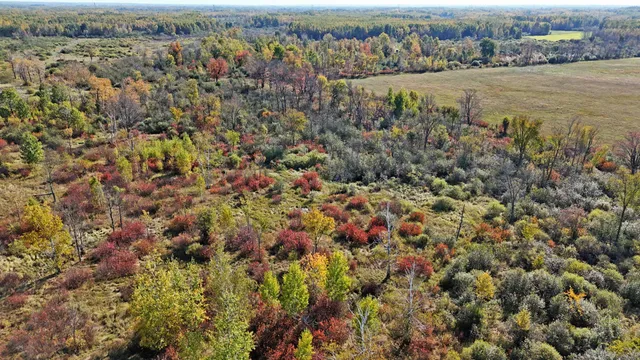 $60,000 | 19 County Road 19, Kettle River, MN 55757