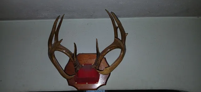 $60,000 | 19 County Road 19, Kettle River, MN 55757