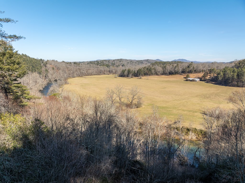 Lot 13 Ridge Road Blue Ridge, GA 30513 - Photo 6 of 18 Gallery Image 6