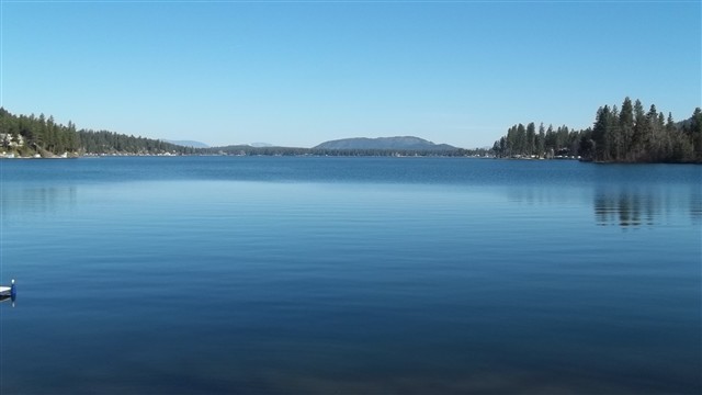 46380 Cedar Beau Road Loon Lake, WA 99148 - Photo 3 of 9 Gallery Image 3