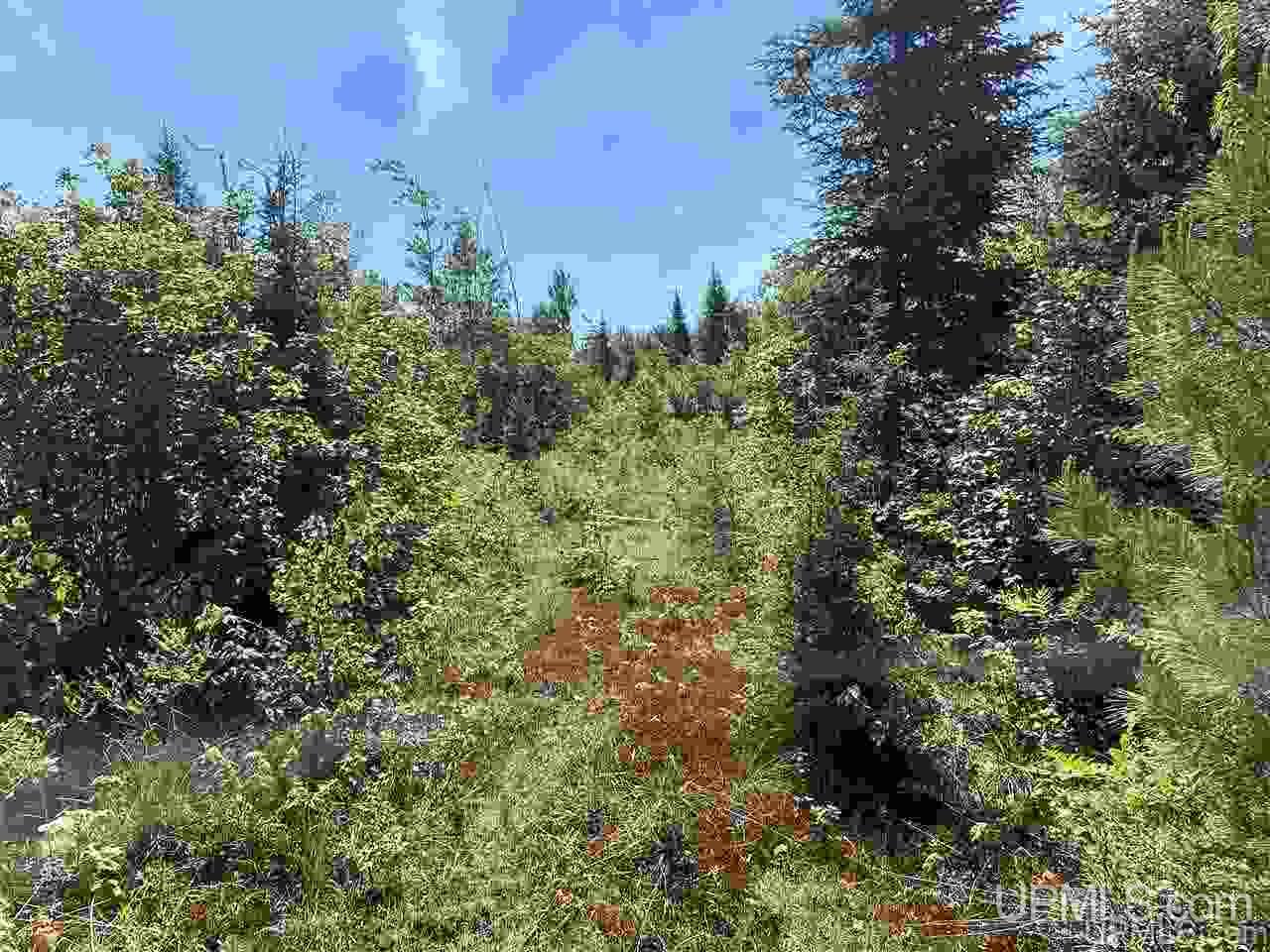 Tbd Off Cooks Lake Road, Unit 1 Wetmore, MI 49895 - Photo 11 of 19