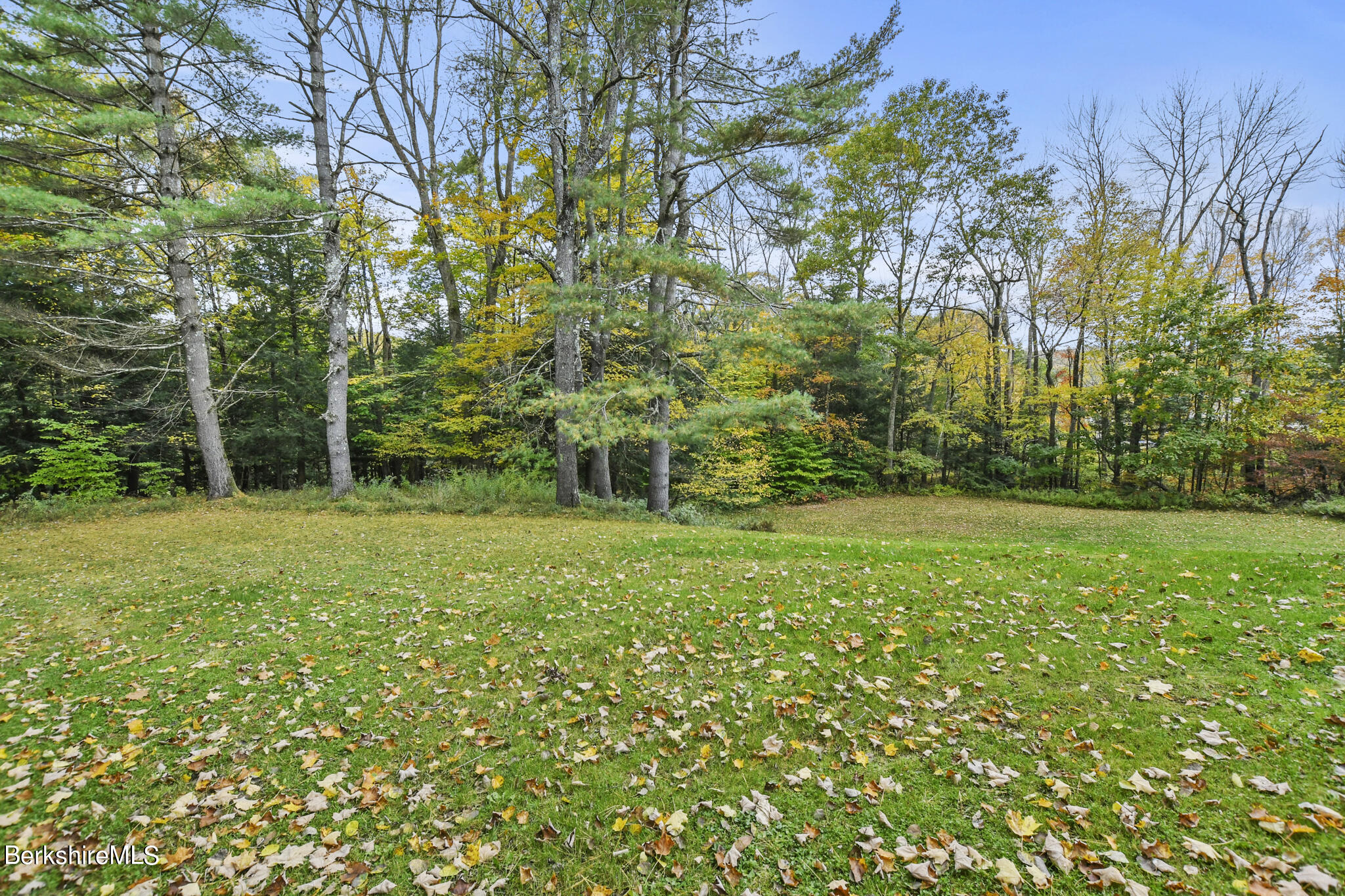 781 E Road Clarksburg, MA 01247 - Photo 46 of 51 a view of a yard with a tree