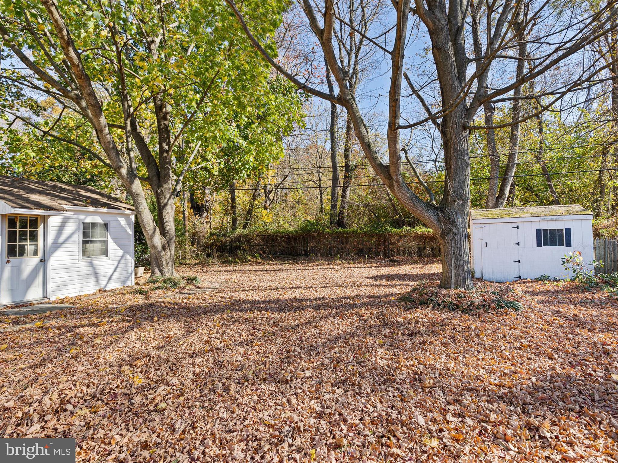 105 Anderson Road Newark, DE 19713 - Photo 5 of 21 Backyard