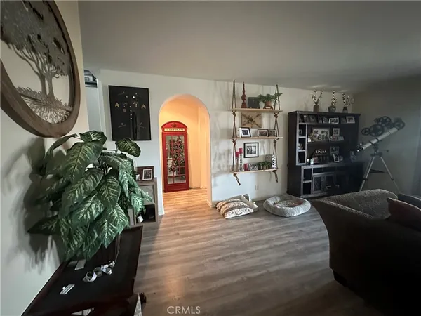 a living room with furniture a plant and a potted plant