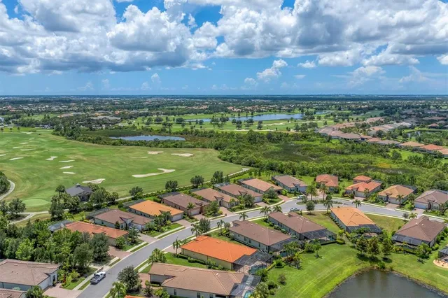 a view of a swimming pool with potted plants and palm trees