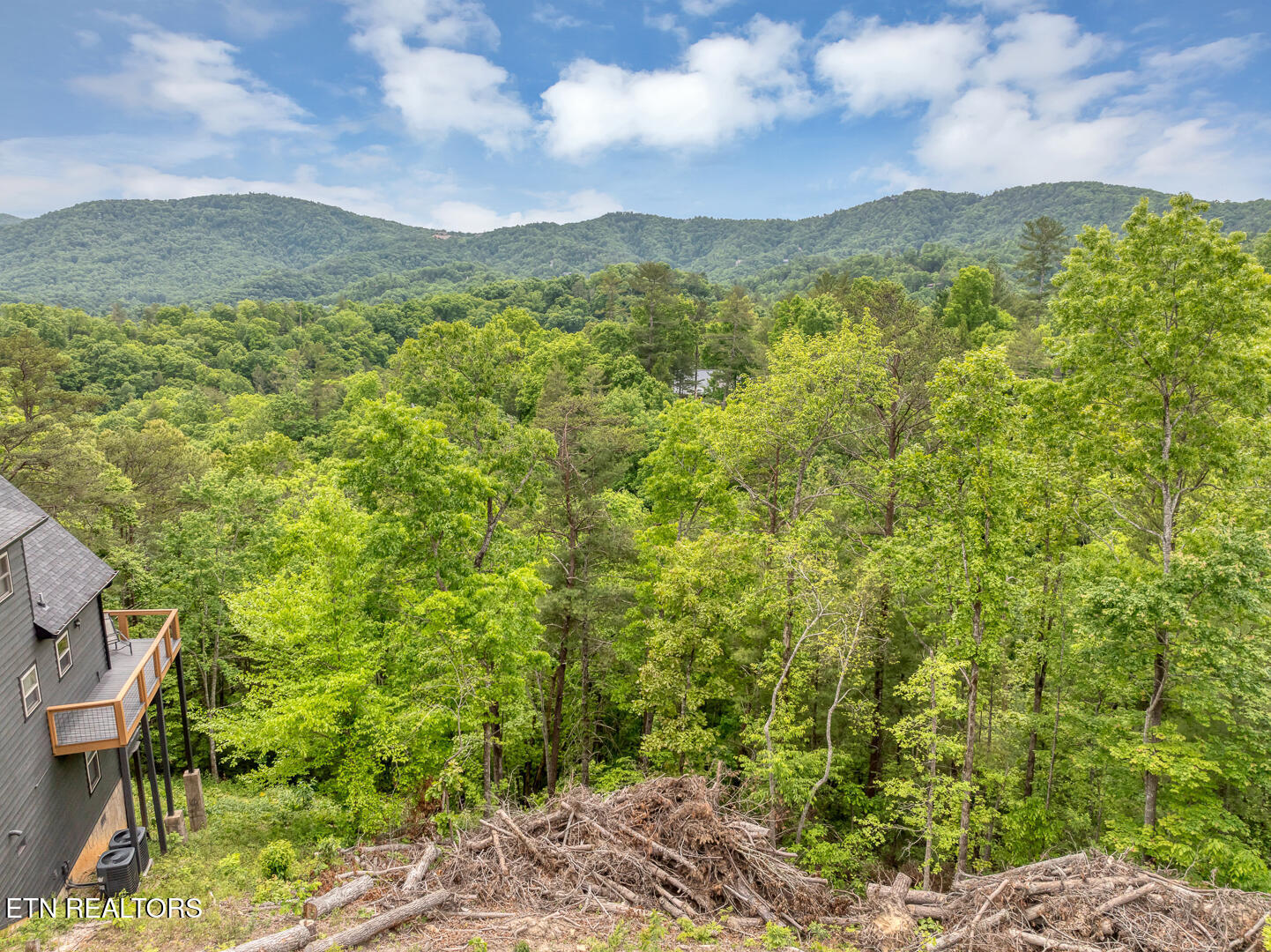 210 Cutter Gap Road Townsend, TN 37882 - Photo 8 of 10 DJI_0574-2