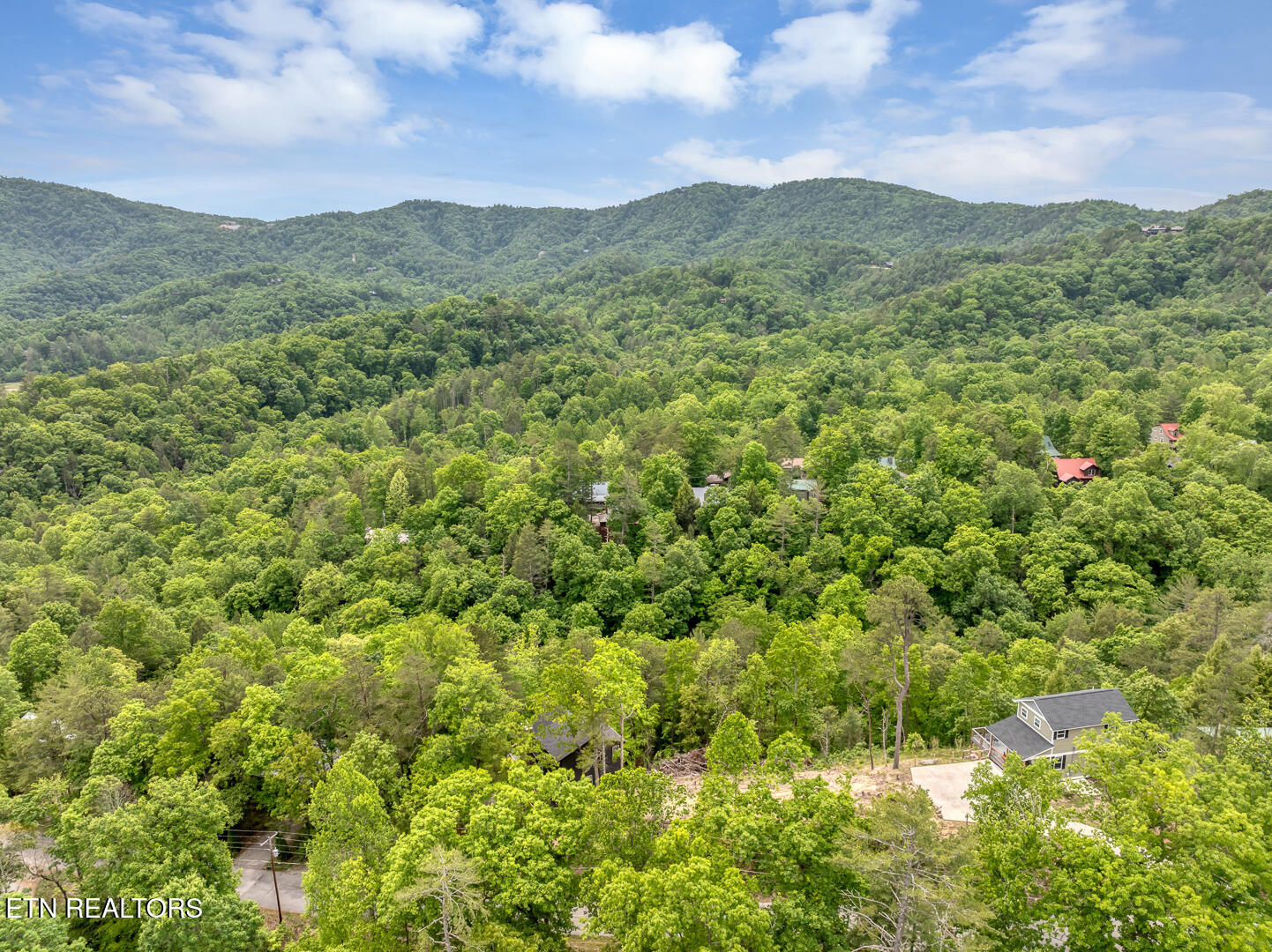 210 Cutter Gap Road Townsend, TN 37882 - Photo 10 of 10 DJI_0583-2