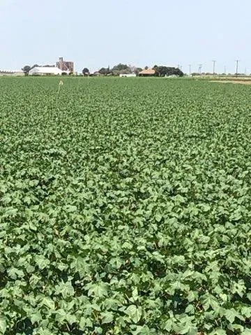 $35,000 | 13405 North Fm 400, Idalou, TX 79329