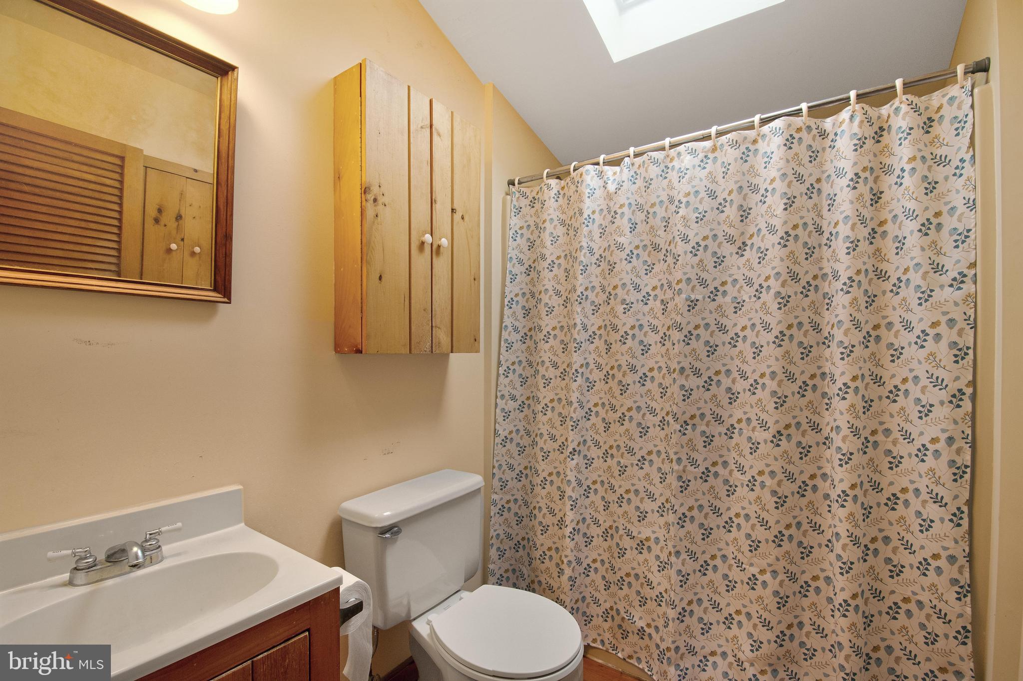 968 Main Street Deale, MD 20751 - Photo 17 of 26 a bathroom with a sink and a toilet