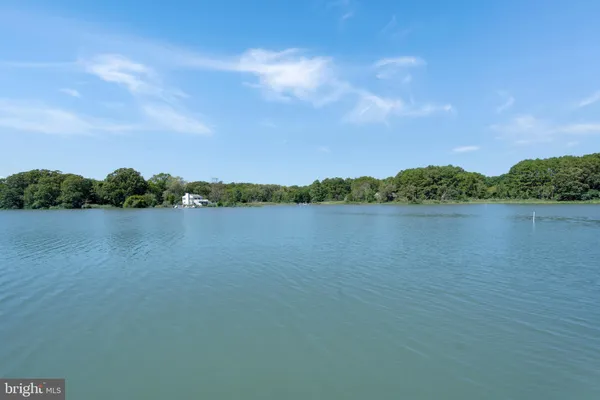 a view of a lake