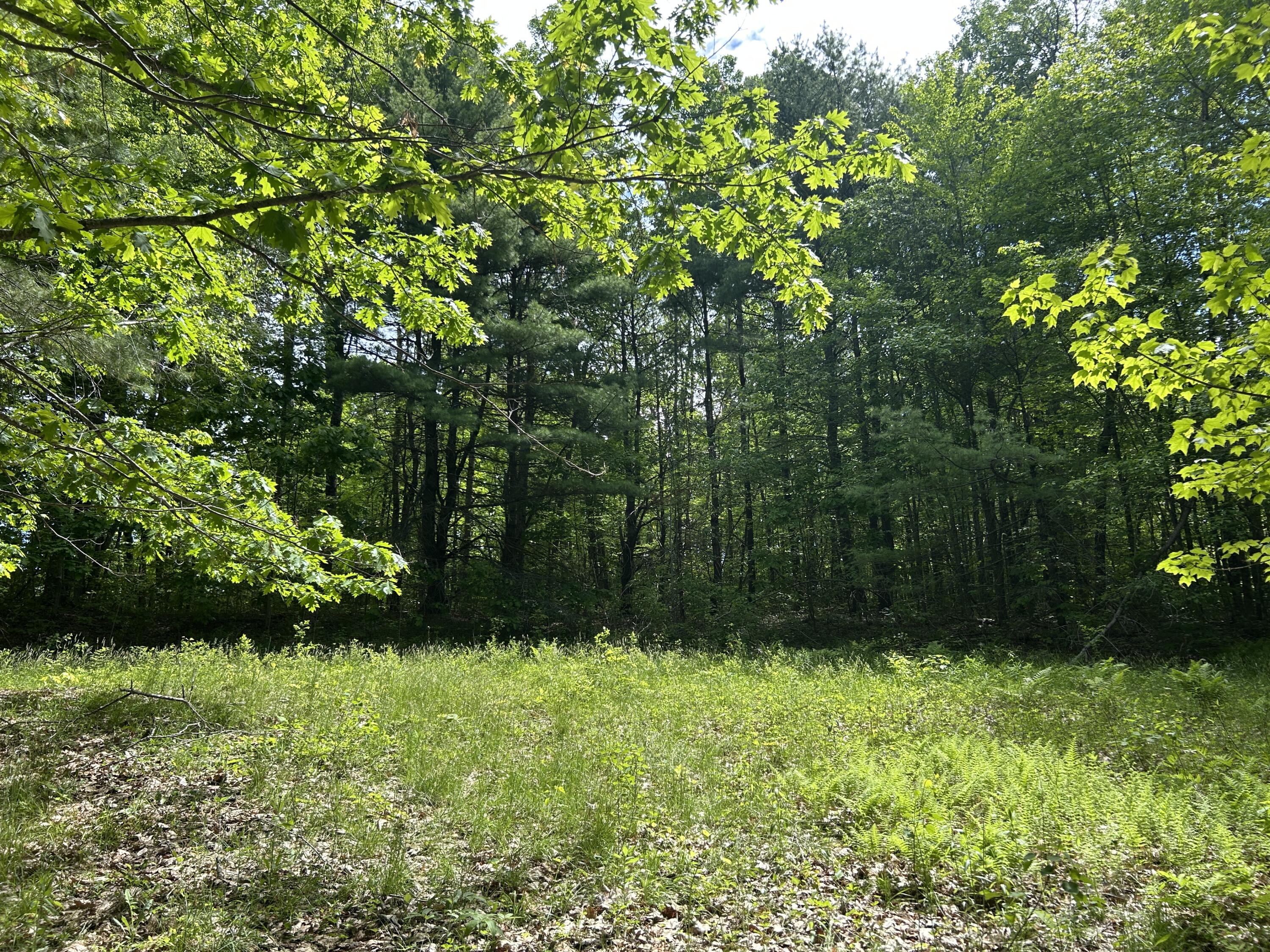 0 Augusta Road Jefferson, ME 04348 - Photo 3 of 6 IMG_9461