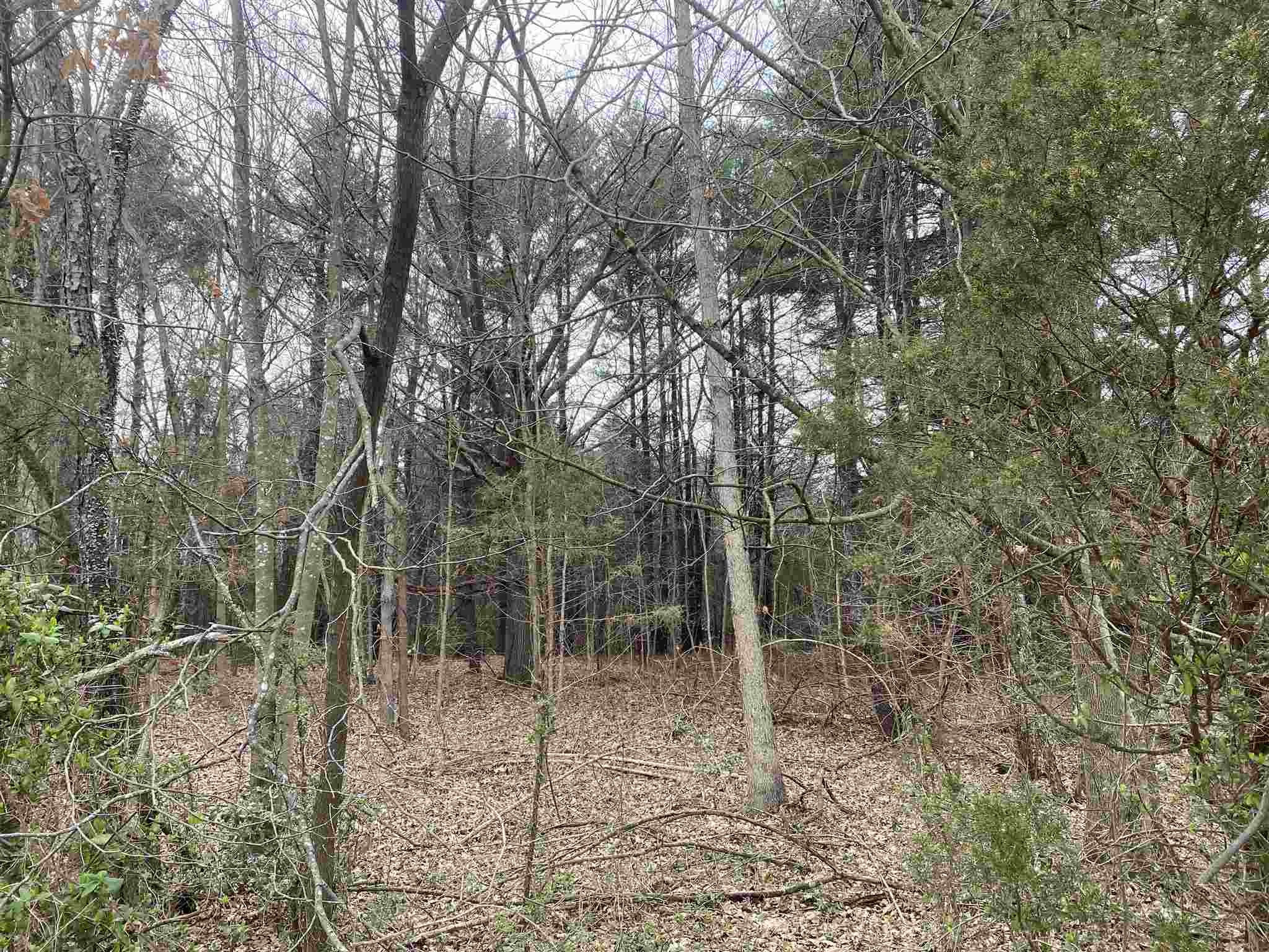5 Huckleberry Road Elkton, VA 22827 - Photo 1 of 2 Gallery Image 1