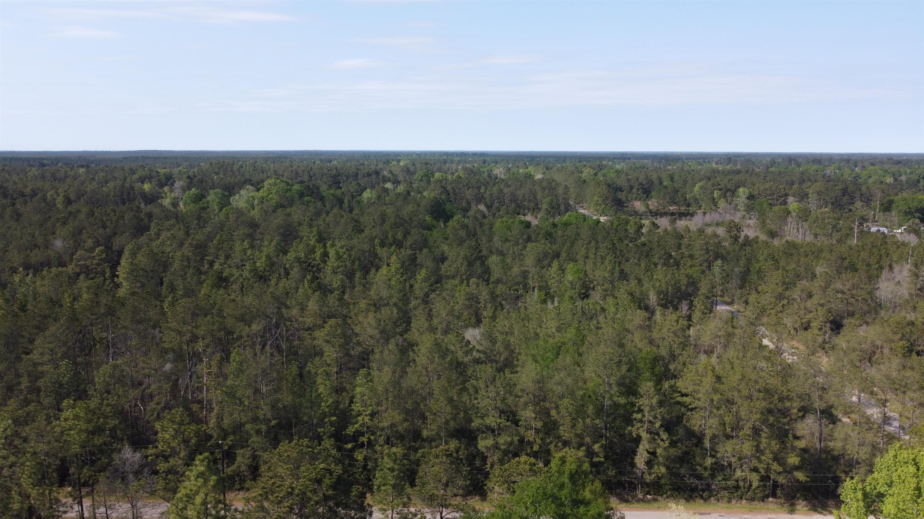 Five 5 Acre Tract Road Buna, TX 77612 - Photo 8 of 13