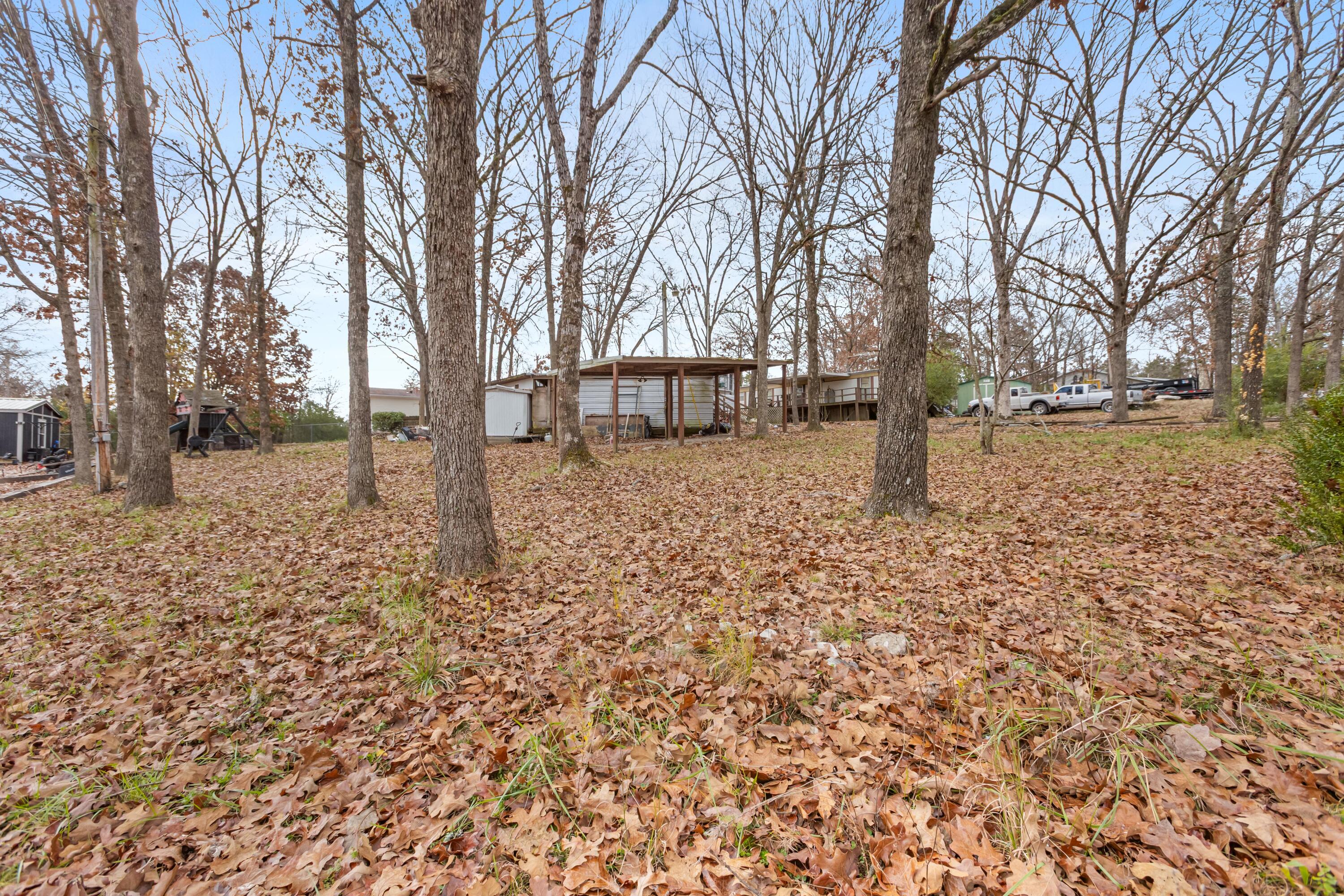 208 Beaver Road Branson, MO 65616 - Photo 3 of 6 098A1027