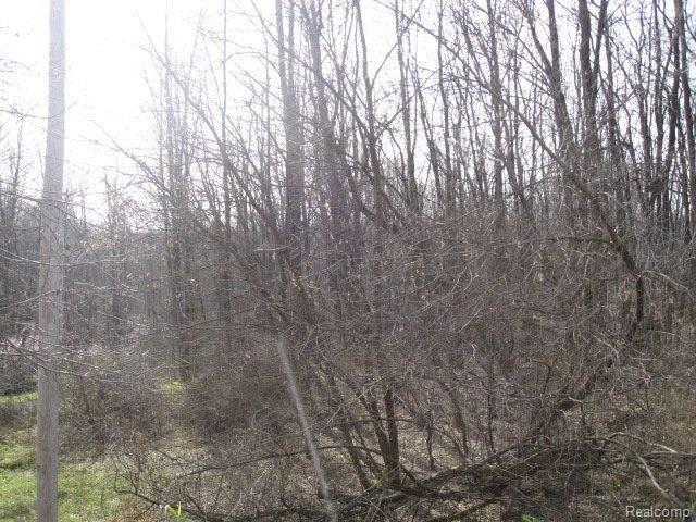 Vacant Germany Road Fenton, MI 48430 - Photo 4 of 10