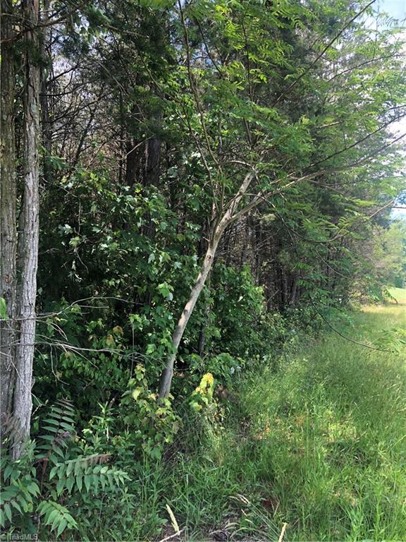 52 North Rd Pinnacle Nc 27043 Road Pinnacle, NC 27043 - Photo 11 of 20