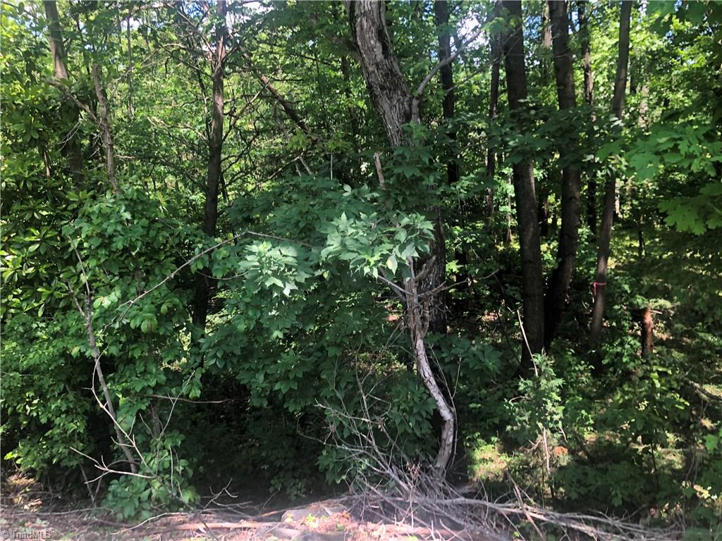 52 North Rd Pinnacle Nc 27043 Road Pinnacle, NC 27043 - Photo 12 of 20