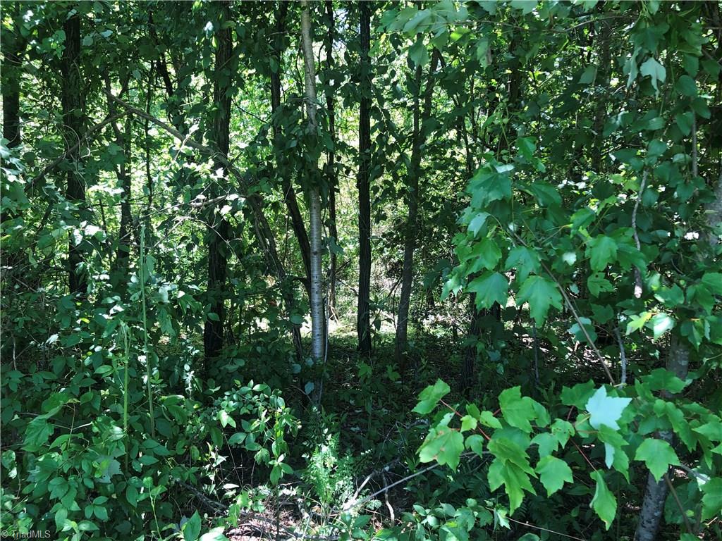 52 North Rd Pinnacle Nc 27043 Road Pinnacle, NC 27043 - Photo 13 of 20