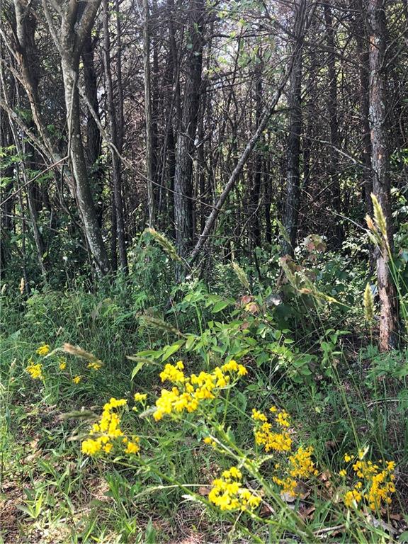 52 North Rd Pinnacle Nc 27043 Road Pinnacle, NC 27043 - Photo 15 of 20